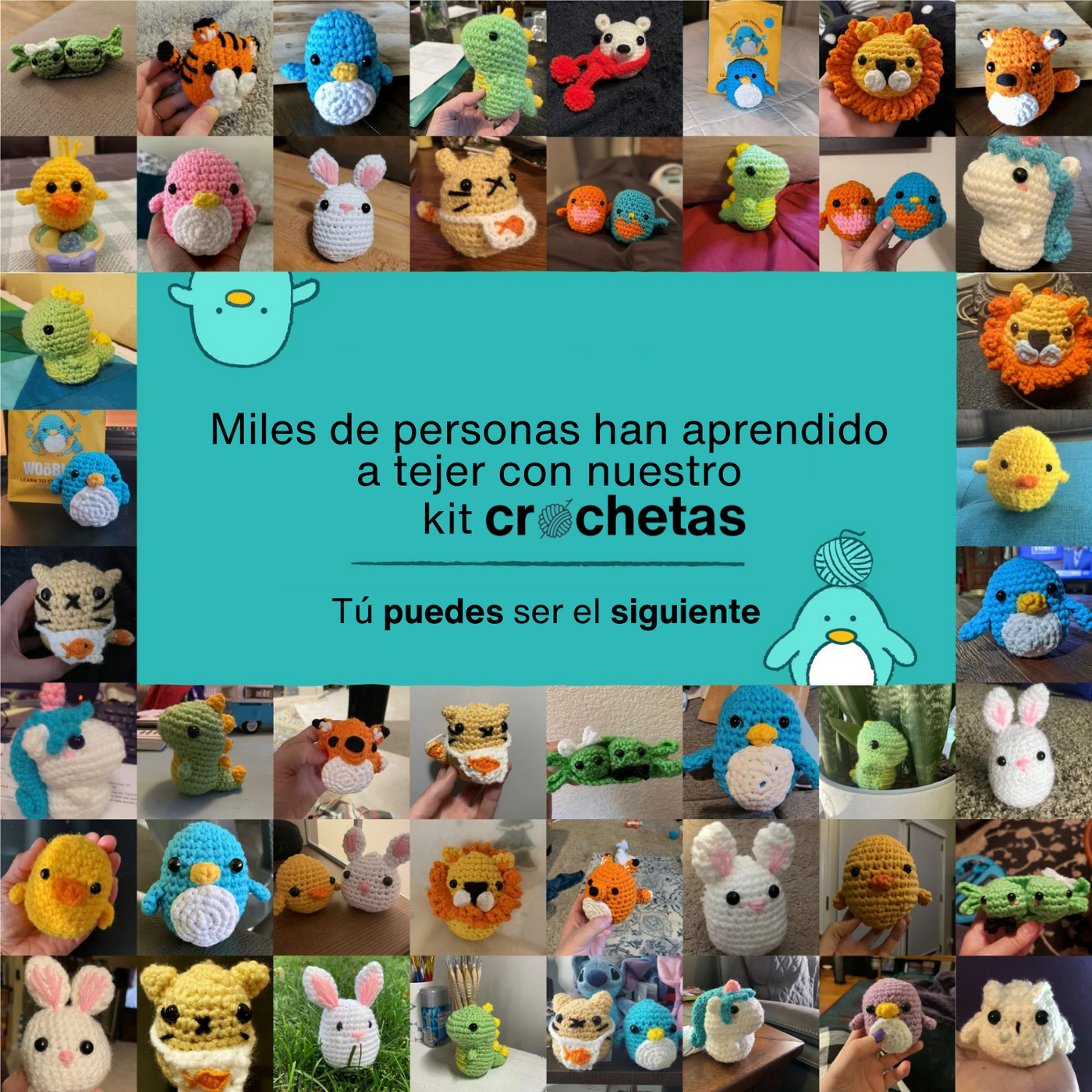 Kit Crochetas de Pingüino